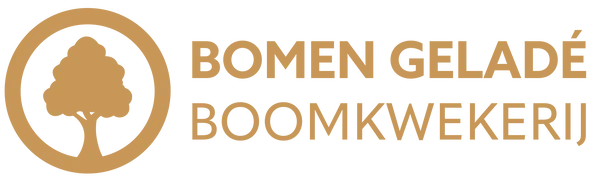 BOOMKWEKERIJ GELADE